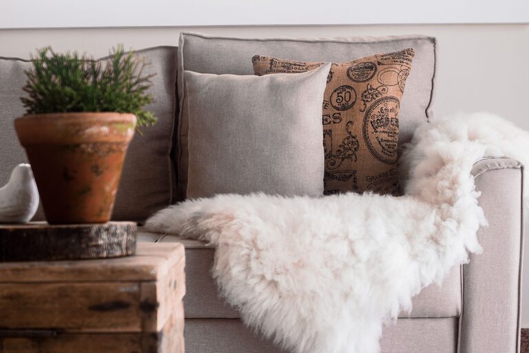 Tips for Creating a Cozy Home Environment on a Budget
